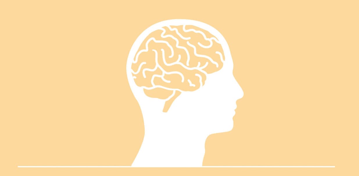 Het intieme samenspel tussen darm en brein